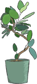 イラスト:観葉植物
